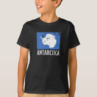 Bandeira da Antártida