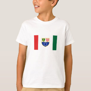 Camiseta Bandeira da Bósnia-Herzegovina