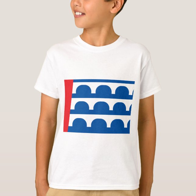 Camiseta Bandeira da cidade de Des Moines (Frente)
