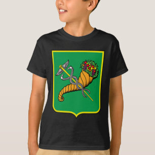 Camiseta Bandeira da Cidade de Kharkiv Ucrânia Orgulho Ucra