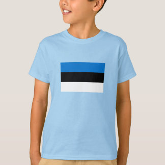 Camiseta Bandeira da Estônia