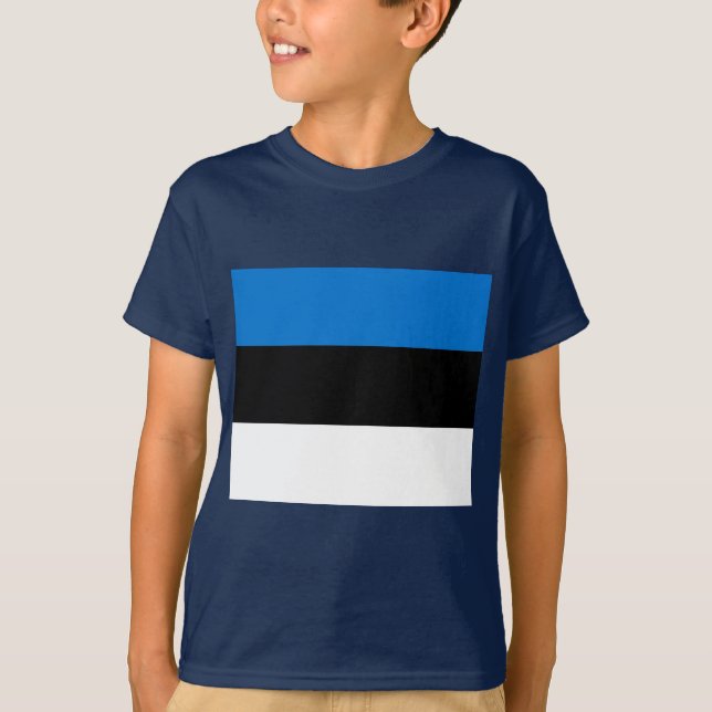 Camiseta Bandeira da Estônia (Frente)