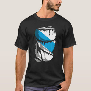 Camiseta Bandeira Da Galiza