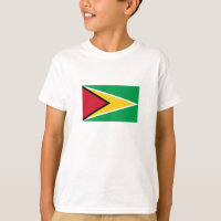 Bandeira da Guiana