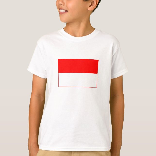 Camiseta Bandeira da Indonésia (Frente)