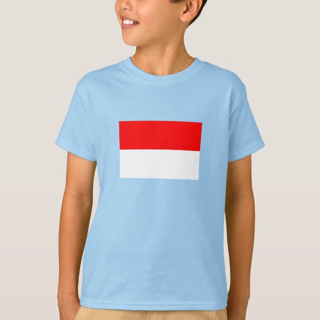 Camiseta Bandeira da Indonésia (Frente)