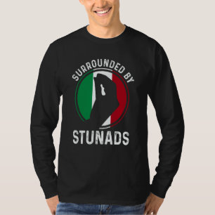 Camiseta Bandeira da Itália Raízes Italianas Dito Cercado P