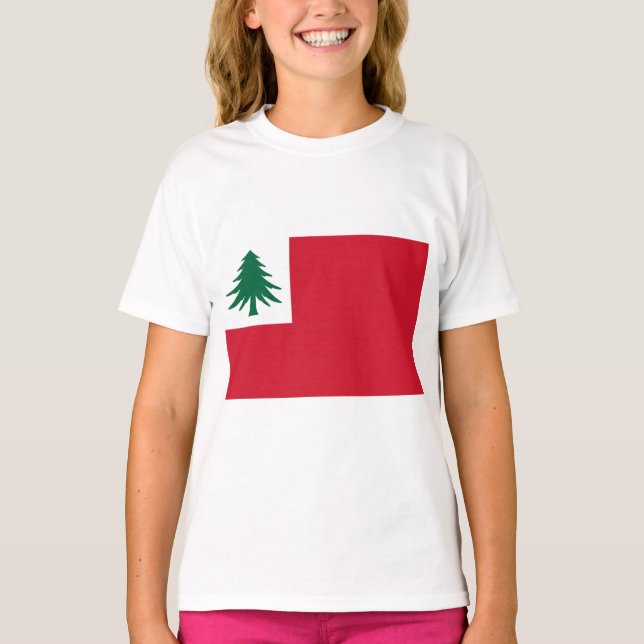 Camiseta Bandeira da Nova Inglaterra (Frente)