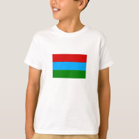 Bandeira da República da Carélia