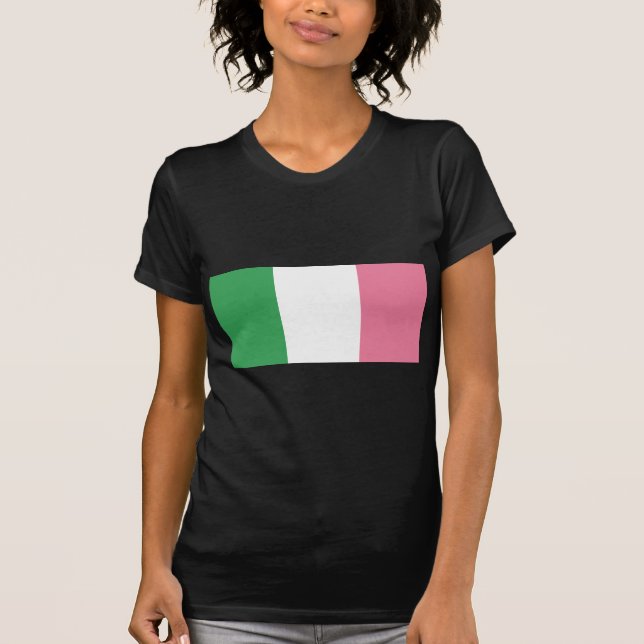 Camiseta Bandeira da Terra Nova (não oficial) (Frente)