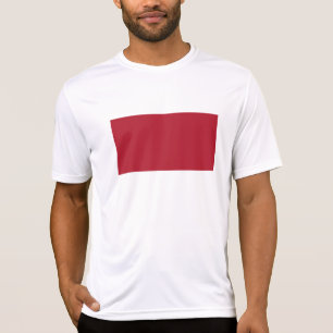 Camiseta Bandeira da Ucrânia