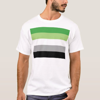 Camiseta Bandeira de Aromantic