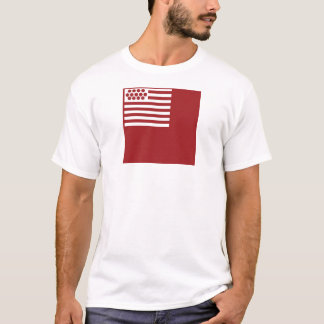 Camiseta Bandeira de Brandywine