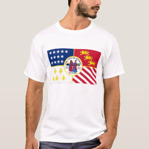 Camiseta Bandeira de Detroit