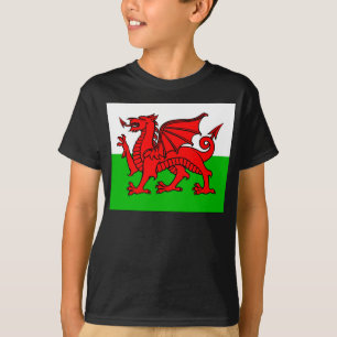 Camiseta Bandeira de Galês