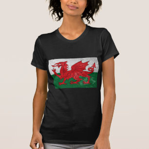 Camiseta Bandeira de Galês
