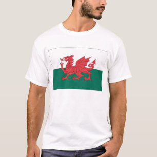 Camiseta Bandeira de Galês