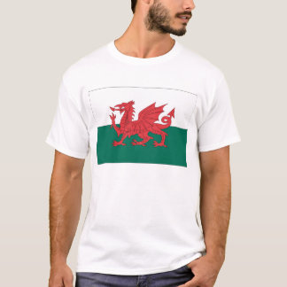 Camiseta Bandeira de Galês