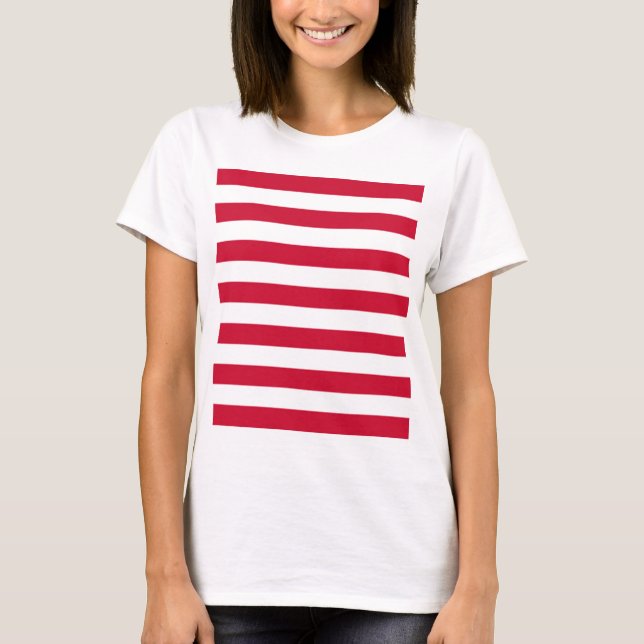 Camiseta Bandeira de Goes (Frente)