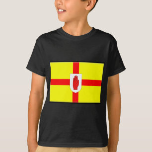 Camiseta Bandeira de Irlanda do Norte (Ulster)