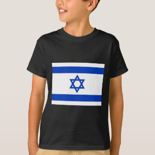 Camiseta bandeira de Israel