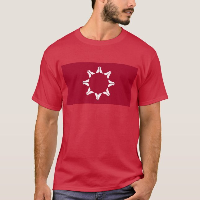 Camiseta Bandeira de Lakotah (Frente)