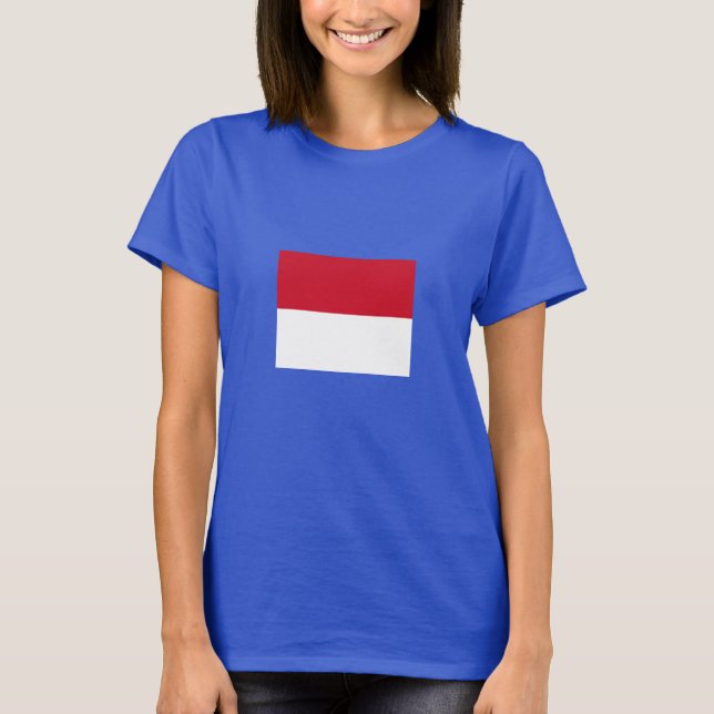 Camiseta Bandeira de Mônaco (Frente)