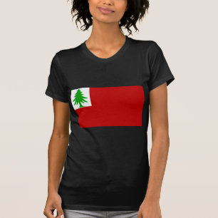 Camiseta Bandeira de Nova Inglaterra
