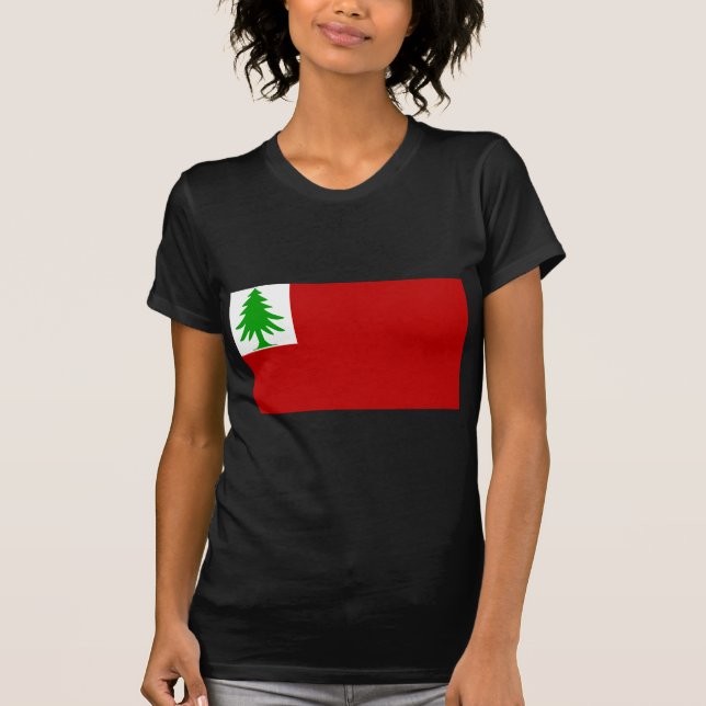 Camiseta Bandeira de Nova Inglaterra (Frente)