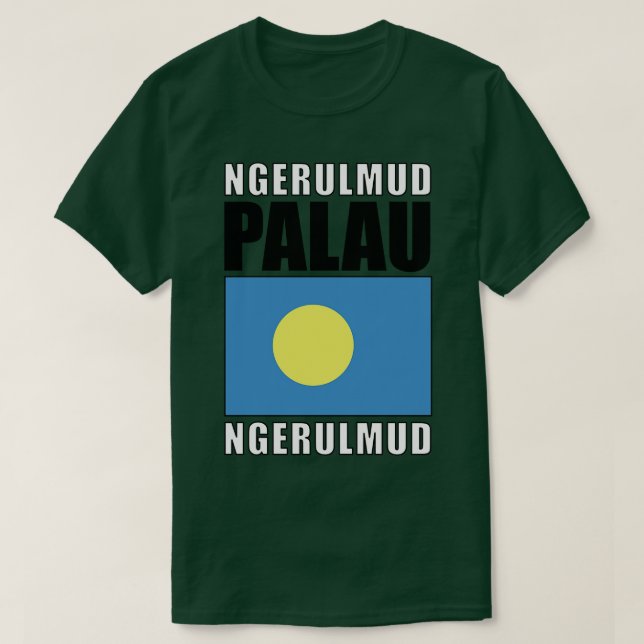 Camiseta Bandeira de Palau (Frente do Design)