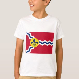 Camiseta Bandeira de Rua Louis (Missouri)