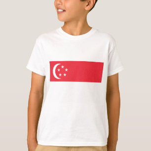 Camiseta Bandeira de Singapore