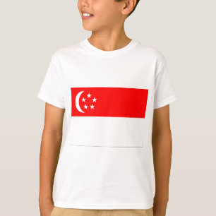 Camiseta Bandeira de Singapura