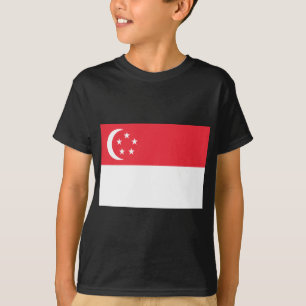 Camiseta Bandeira de Singapura