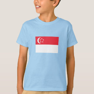 Camiseta Bandeira de Singapura