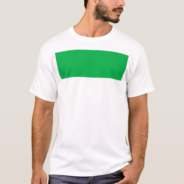 Camiseta Bandeira de Vlieland (Frente)