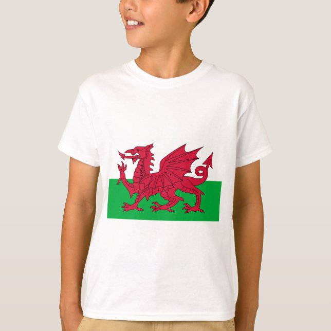Camiseta bandeira de wales (Frente)