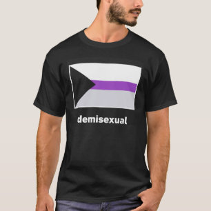 Camiseta Bandeira Demisexual do Orgulho
