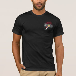 Camiseta bandeira do Egito