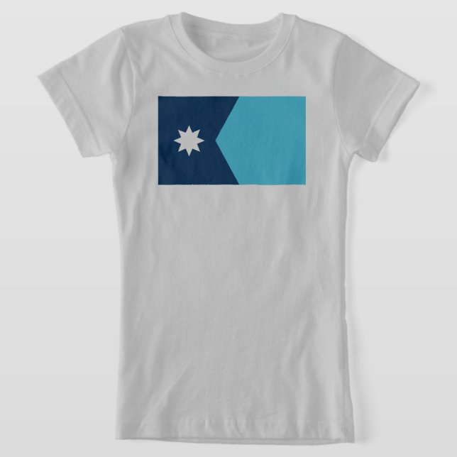 Camiseta Bandeira do Estado do Minnesota (Postura )