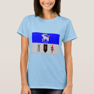 Camiseta Bandeira do län de Jämtlands