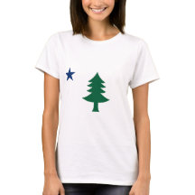 Bandeira do Maine de 1901