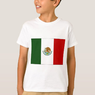Camiseta Bandeira do México