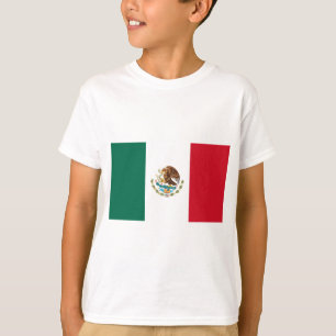 Camiseta Bandeira do México