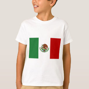 Camiseta Bandeira do México