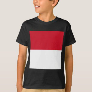 Camiseta Bandeira do Mônaco
