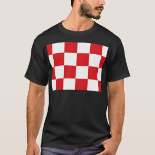 Camiseta Bandeira do Norte