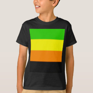 Camiseta Bandeira do orgulho de Fallln Aromantic