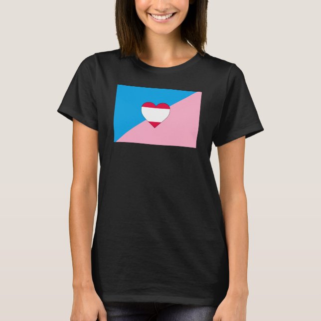 Camiseta Bandeira do Orgulho do Age Play (Frente)