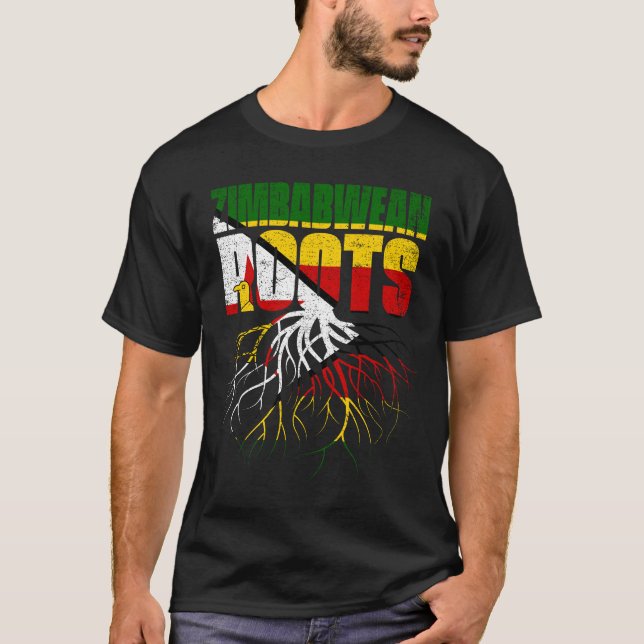 Camiseta Bandeira do Orgulho do Zimbábue (Frente)